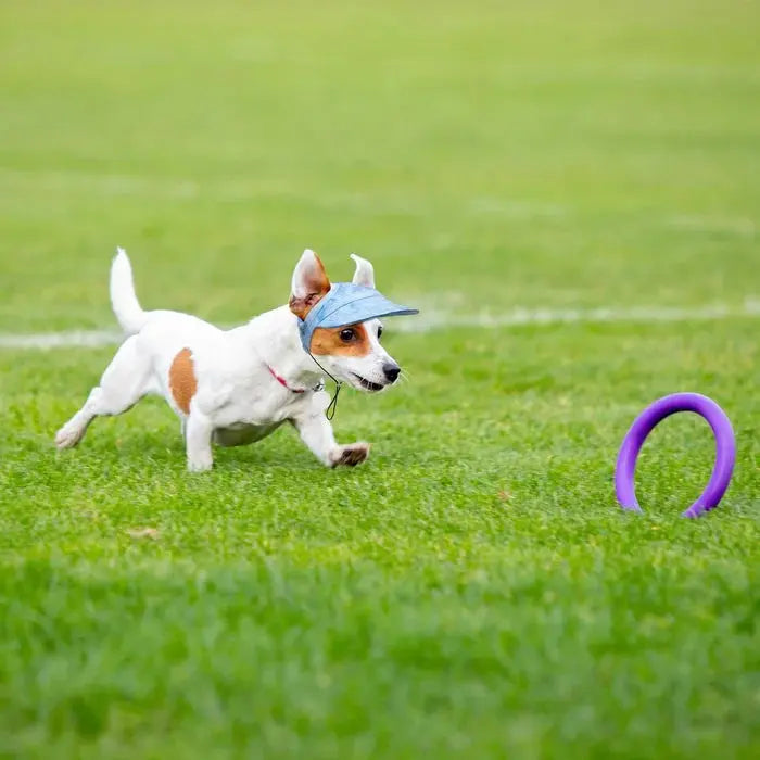 π₯Outdoor Sun Protection Hood For Dogs PawMoon